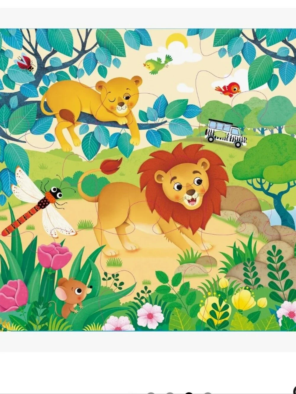 usborne new zoo